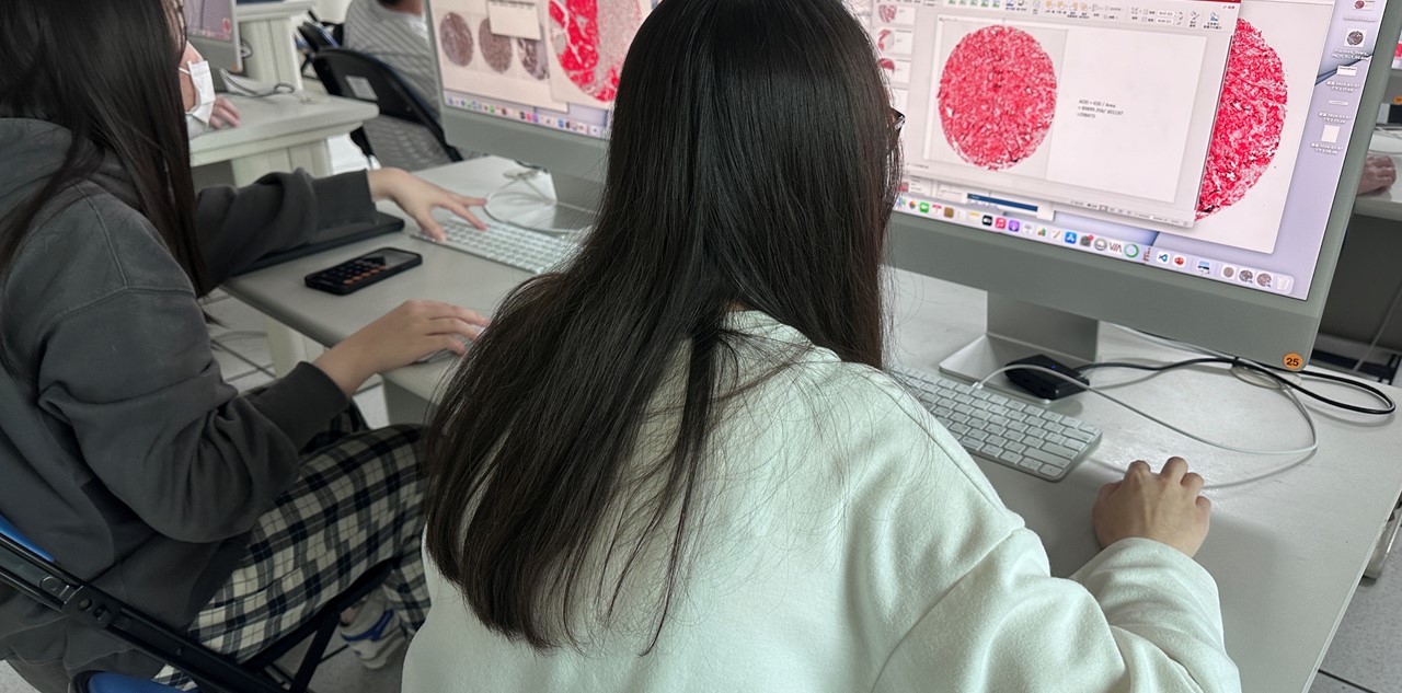 學士專業主視覺