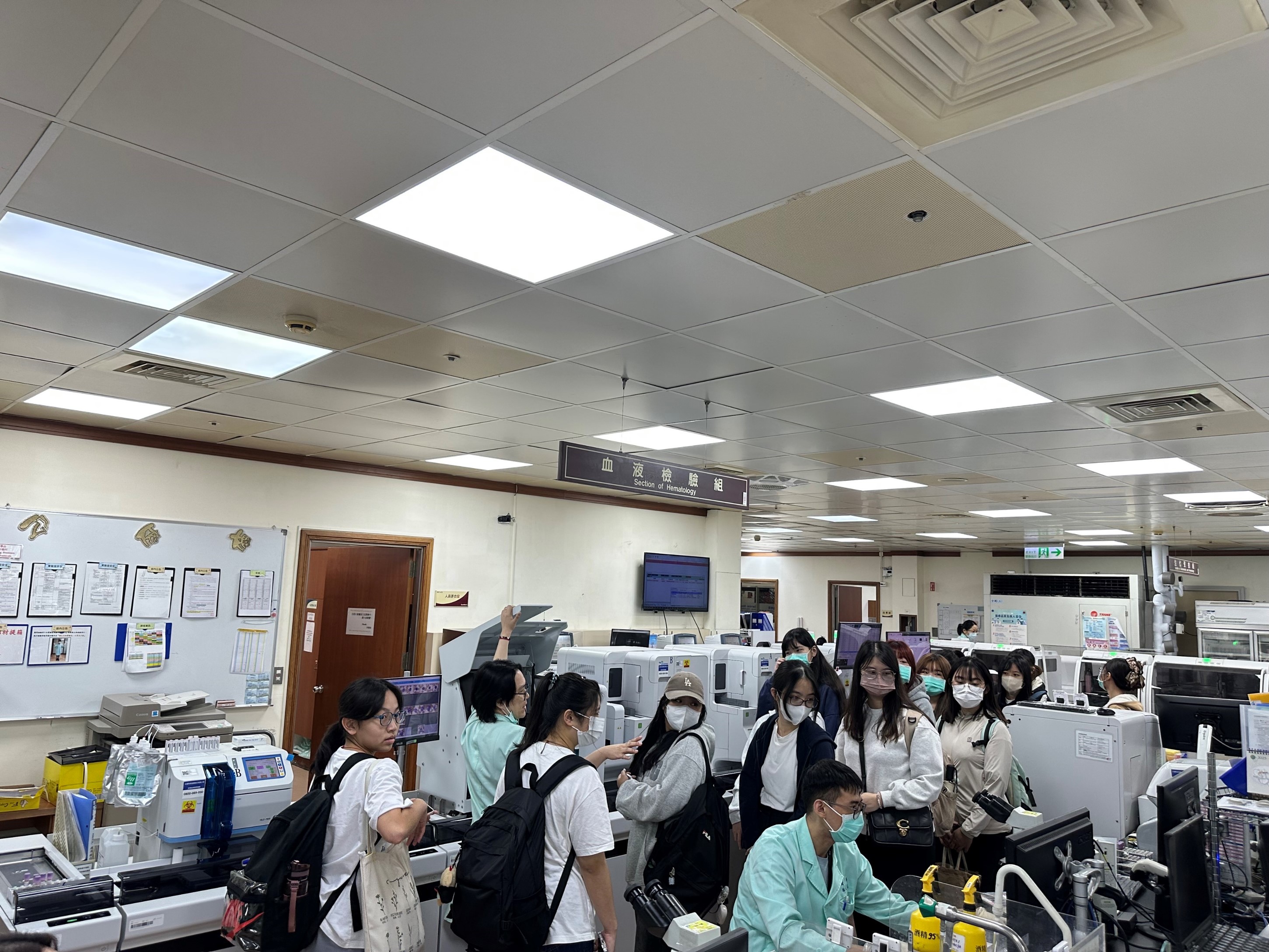 學士專業主視覺