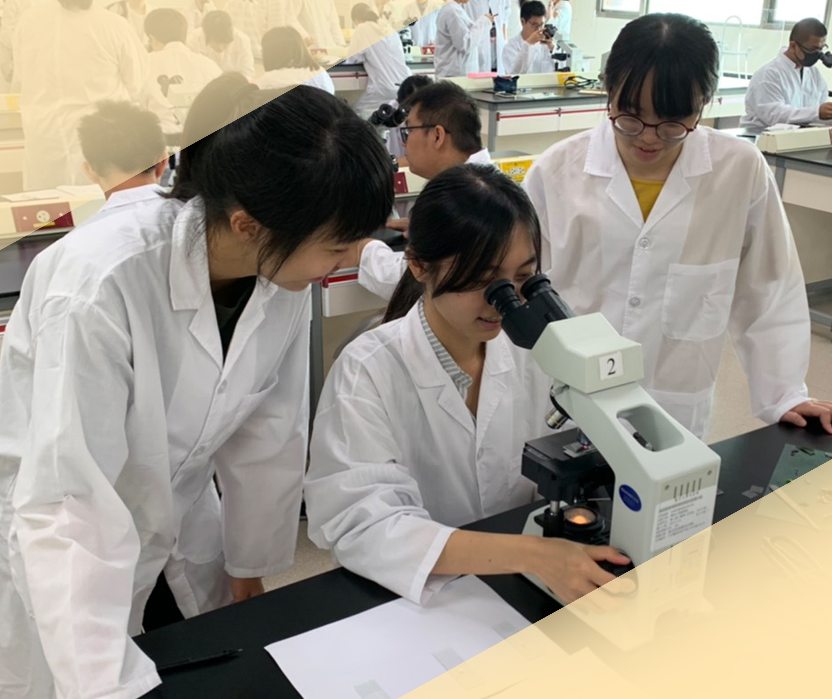 學士專業主視覺